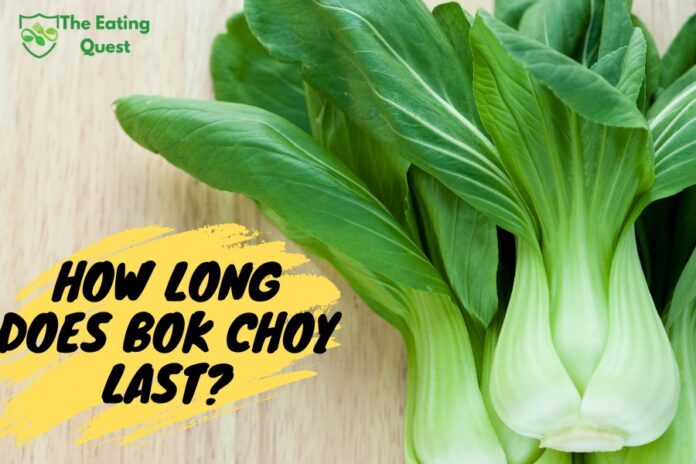 How Long Does Bok Choy Last? A Guide to Bok Choy Shelf Life