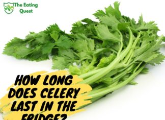 How Long Does Celery Last in the Fridge? Guide to Keeping Your Celery Fresh How Long Does Celery Last in the Fridge? A Guide to Keeping Your Celery Fresh