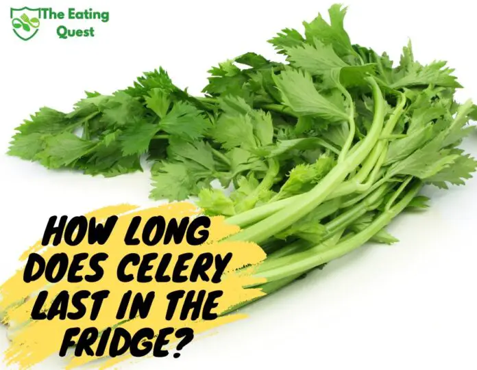 How Long Does Celery Last in the Fridge? A Guide to Keeping Your Celery Fresh