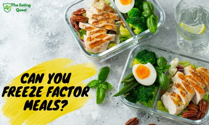 Can You Freeze Factor Meals? A Guide On How Long You Can Keep Them in the Freezer
