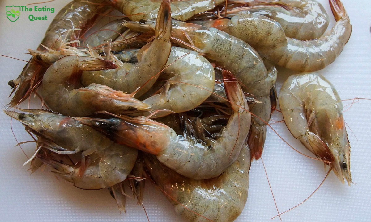 Ideal Storage Conditions for Raw Shrimp