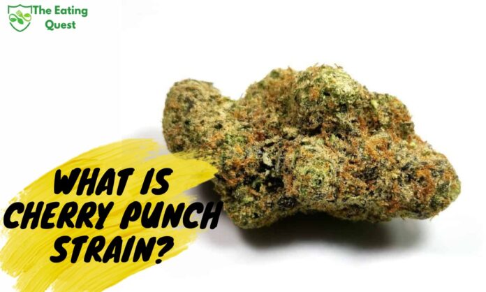 What is Cherry Punch Strain? A Comprehensive Guide