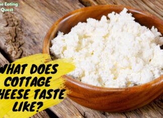 What Does Cottage Cheese Taste like? What Does Cottage Cheese Taste like?