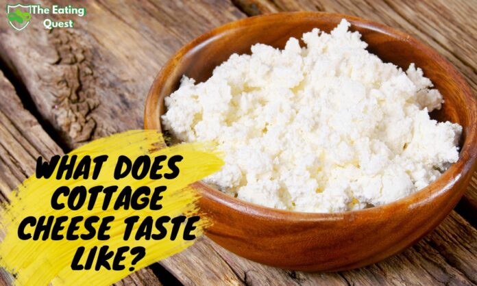 What Does Cottage Cheese Taste like?