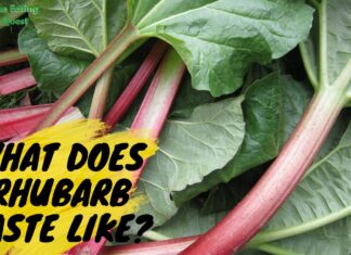 What Does Rhubarb Taste Like? A Neutral Answer What Does Rhubarb Taste Like?