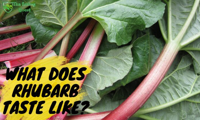 What Does Rhubarb Taste Like?