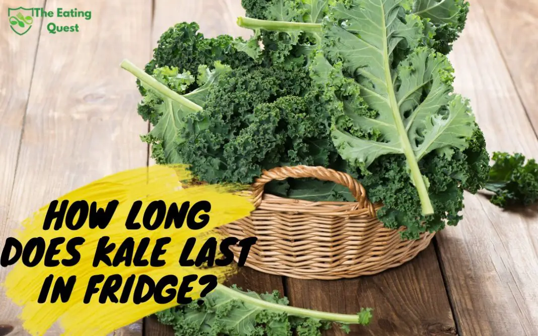 How Long Does Kale Last in Fridge Storage Tips and Tricks The Eating