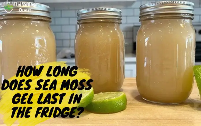 How Long Does Sea Moss Gel Last in the Fridge: Expert Insights